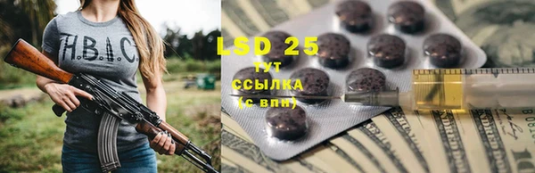 ПСИЛОЦИБИНОВЫЕ ГРИБЫ Аркадак