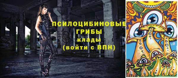 ПСИЛОЦИБИНОВЫЕ ГРИБЫ Аркадак