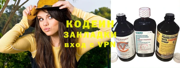 ПСИЛОЦИБИНОВЫЕ ГРИБЫ Аркадак